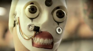 В 2017 году в продаже появятся секс-куклы с искусственным интеллектом (5 фото + видео)