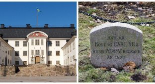 The grave of the dog Pompe - the favorite of the Swedish ruler (8 photos)