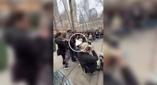 Редкая птица появилась в центре Нью-Йорка