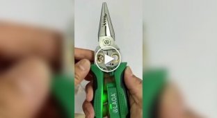 Pliers for an electrician