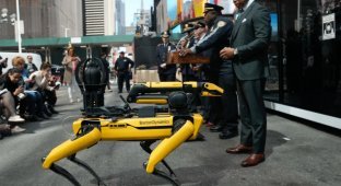 Boston Dynamics robots will work in the New York police (2 photos)