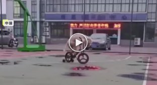 A dog from China rides a bicycle and skateboard