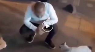 Man prevents cat fight
