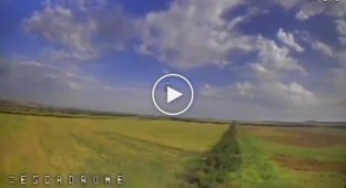 Украинский FPV-дрон сбрасывает боеприпас в блиндаж российских военных на Восточном направлении