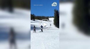 Ведмідь перебіг трасу поруч із лижником