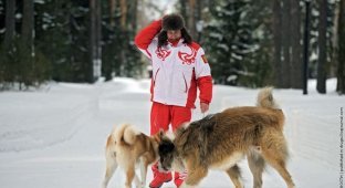 Путин со своими собаками (6 фото)