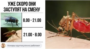 Врачи случайно создали препарат, превращающий человеческую кровь в яд для комаров (3 фото)