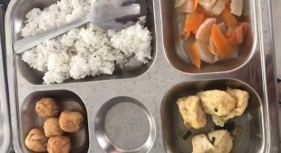 Как выглядят школьные обеды в разных странах (14 фото)
