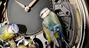 Удивительные часы The Bird Repeater (12 фото)