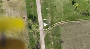 Часткове знищення російського мінного загородження скиданням боєприпасів з безпілотника у східному напрямку