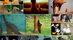 Диснеевские животные и их реальные копии (21 фото)