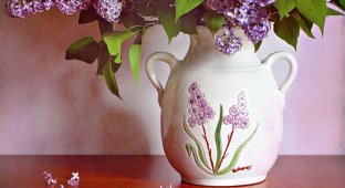 Lilac in bloom (24 photos)