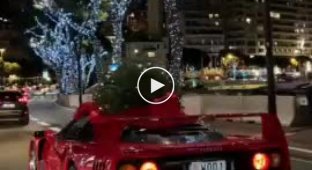 How do millionaires deliver a Christmas tree?