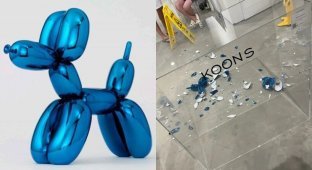 "Is this a balloon?": an American came to the exhibition and broke a sculpture worth 42 thousand dollars (5 photos + 1 video)