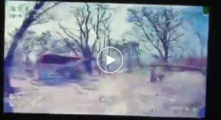 Эпизод охоты украинского FPV-дрона на оккупантов под Крынками