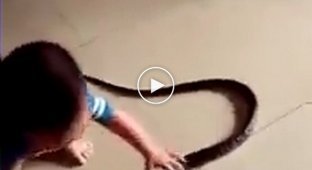 Маленький мальчик из Китая беспечно играет со змеёй