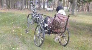 Homemade pleasure carriage as a permanent sponsor of neighbors' heart attacks