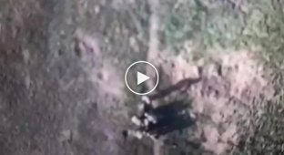 Донецкая область, украинский дрон сбрасывает ВОГ на группу российских военных
