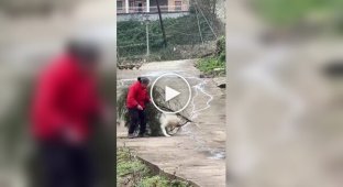 Бабусин помічник