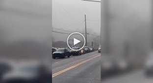 Обнаружена пробка на дороге с самым неожиданным ее началом