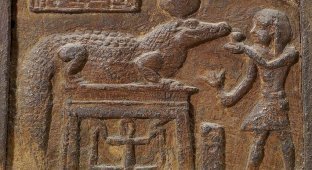 How crocodiles became hiding places and helped study Ancient Egypt (7 photos)