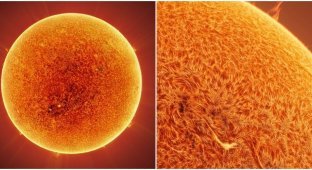 An astrophotographer took the most detailed photo of the Sun (6 photos)