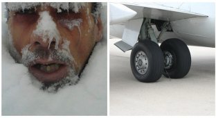 Безквитковий з Алжиру вижив, пролетівши більше двох годин у ніші шасі літака (2 фото)