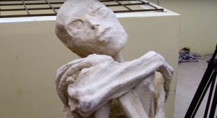 Исследователи откопали мумию перуанского пришельца (9 фото)