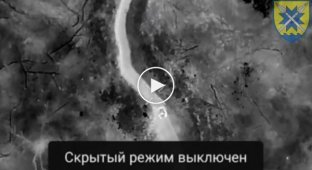 Бахмутское направление, украинский дрон с тепловизором сбрасывает гранаты на российские позиции