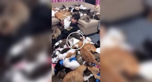 Fluffy and purring therapy