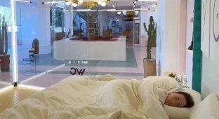 "Кошмар интроверта": молодожены спали в отеле со стеклянными стенами (2 фото + 1 видео)
