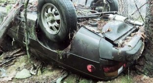 Угнанный Porsche найден спустя десятилетия в лесу (4 фото)