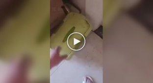 Воришка резинок попался с поличным