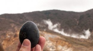 Black eggs of Owakudani (6 photos)