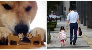 В Японии введут четырёхдневную рабочую неделю для борьбы с низкой рождаемостью (2 фото)