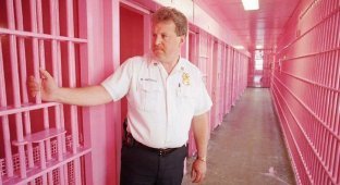Why are cells painted pink in European prisons? (4 photos)