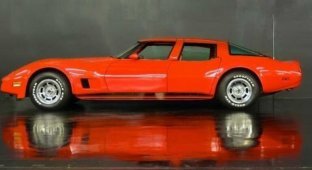 Самый редкий в мире Chevrolet Corvette (20 фото)
