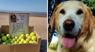 Чоловік залишив на пляжі коробку з м'ячиками, з якими любив грати його пес (3 фото)