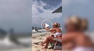 A woman deftly caught a seagull