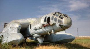 Советский самолет ВВА-14 (42 фотографии)