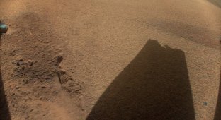 NASA said goodbye to the Martian helicopter Ingenuity (4 photos)