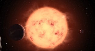В Солнечной системе две звезды (4 фото)