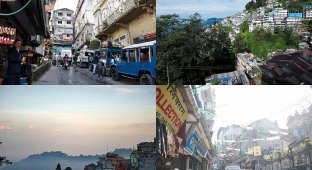 Большое индийское путешествие: Дарджилинг (61 фото)