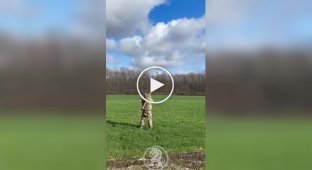 Боец 47-й ОМБр Магура сбивает шахед из ПЗРК Игла