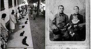 14 vintage shots that in the past everyone just adored cats (15 photos)