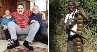 Реальные предметы и живых существ, впечатляющих своими огромными размерами (17 фото)