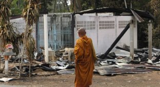 Тайланд против Камбоджи (71 фото)
