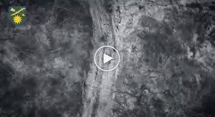Украинский дрон сбрасывает ВОГи на российских военных в Луганской области