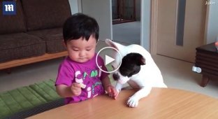 Dog consoles boy by eating his crackers