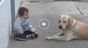 Собака играется с ребенком с синдромом дауна